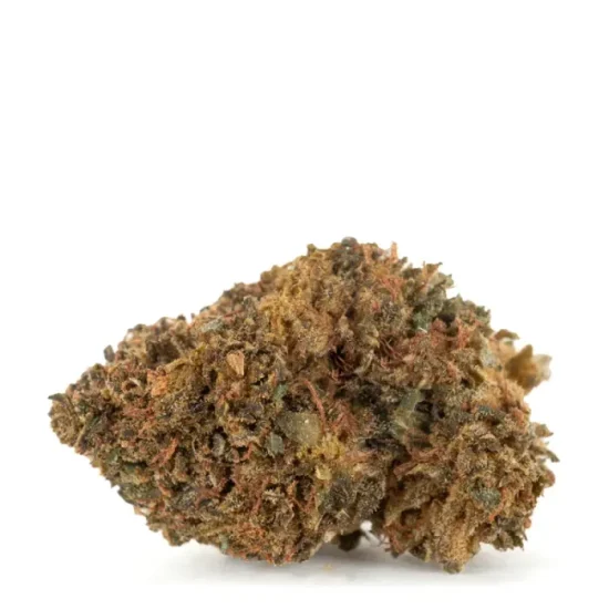 ALIEN BUBBA