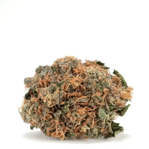 GREASE MONKEY